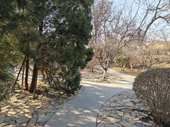-桃花堤公园