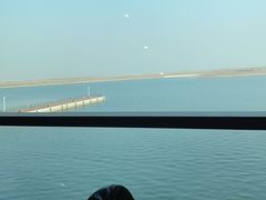 -贝林大翅鲸简餐厅(国家海洋博物馆店)