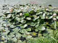 -艾溪湖湿地公园