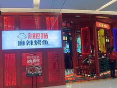 -南锣肥猫·麻辣烤鱼·16年现烤现卖(财富购物中心店)