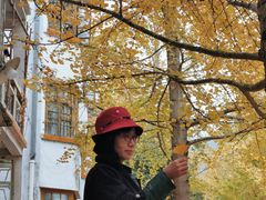 -广州市帽峰山景区
