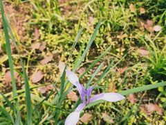 -洋湖国家湿地公园