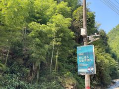 -将军关探险漂流