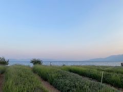 -抚仙湖禄充风景区