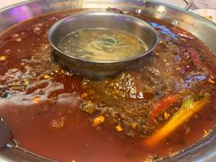 -百口川老火锅(西科大新区店)