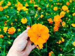 -艾溪湖湿地公园