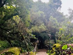 -青芝山风景名胜区