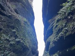 -江西龙虎山景区