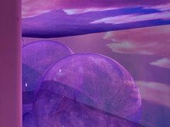 -精绝七日-新疆尼雅遗址数字大展【拉法耶文化艺术中心】