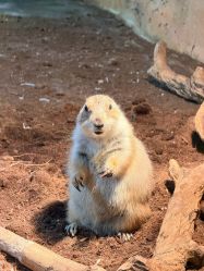 -Zoolung Zoolung动物主题公园(海信广场店)