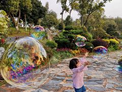 -东莞植物园