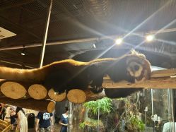 -Zoolung Zoolung动物主题公园(海信广场店)