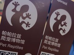 -帕帕拉兹宠物(亚洲旗舰店)