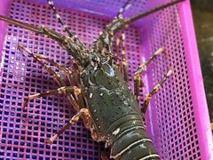 -班赞海鲜市场