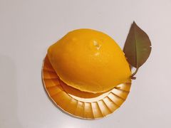 -朱迪小铺.半糖奶油蛋糕(海汇港店)