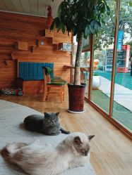 -萌宠亲子动物乐园(槐房万达店)