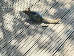 -昆明植物园