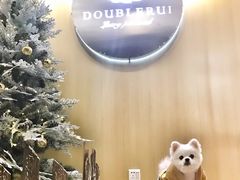 -Double Rui宠物酒店