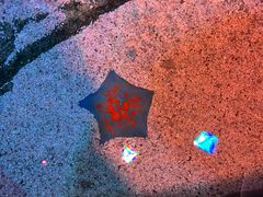 -沈阳海洋探索中心