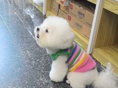 -瑞鹏宠物医院华南总院·夜诊·心脏科·骨科