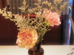 -阿妮叶李(光谷世界城店)
