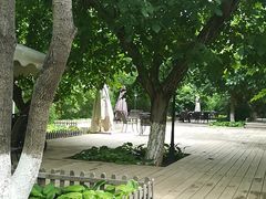 -北京张裕爱斐堡酒庄
