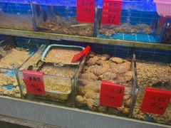 -金海湾海鲜排档(朱家尖店)