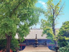 -洛阳白马寺