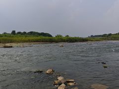 -绿堤公园