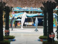 -海合安成都极地海洋公园