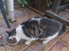 -有才叔的小馆(招商依云曲江店)