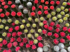 -南山植物园
