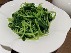 -张生记(丁香国际店)