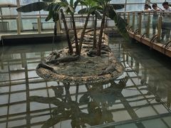 -石家庄市动物园