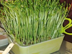 -海底捞火锅(龙湖北京大兴天街店)