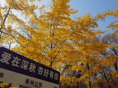 -森林公园(尖草坪区)