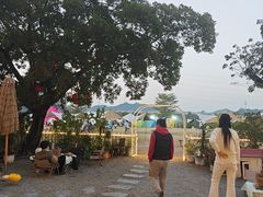 -长洲岛都市农业公园