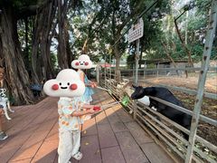 -厦门悦华酒店