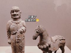 -徐州博物馆
