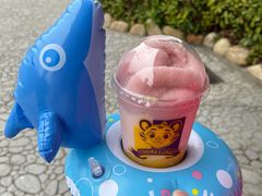 -珠海长隆海洋王国