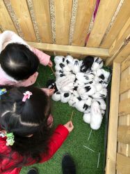 -萌宠亲子动物乐园(槐房万达店)