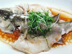 海鲈鱼-启东恒大酒店·吕四渔号海鲜餐厅