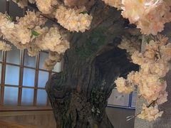 -九田家黑牛烤肉料理(太阳宫广场店)
