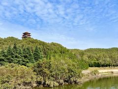 -中原大佛景区