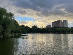 -青城公园