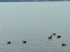 -鄱阳湖国家湿地公园