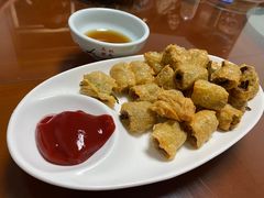 -百丈农家