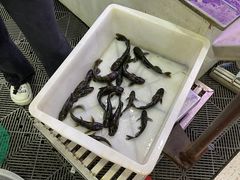 -夏家大锅台炖鱼馆