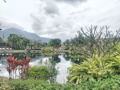 -广州都喜泰丽温泉度假酒店