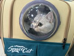 -艾贝尔宠物诊疗